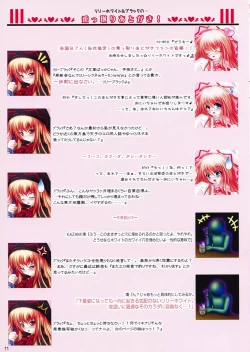 Page 11 of Moe Touhou GensouHisou Tenpu