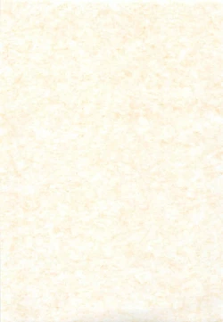 Page 2 of Shiromadoushi Hi Onegaishimasu