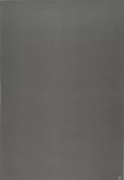 Page 19 of SANCTUARY