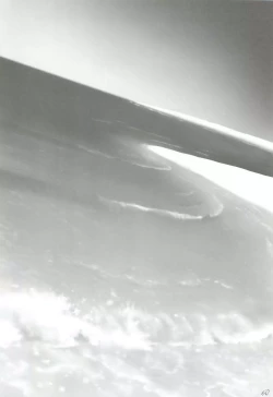 Page 59 of SANCTUARY