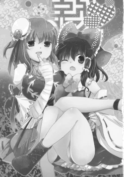 Page 3 of Midarekitta Reimu ni Mono Mousu!?