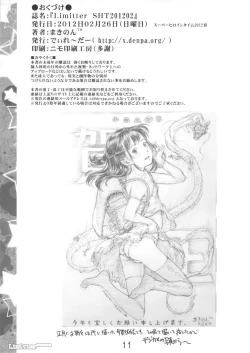 Page 11 of Limitter SHT202102