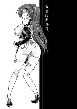 Page 3 of Mitsutsubo Injoku Settai