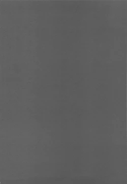 Page 109 of Onegai! FireSisters