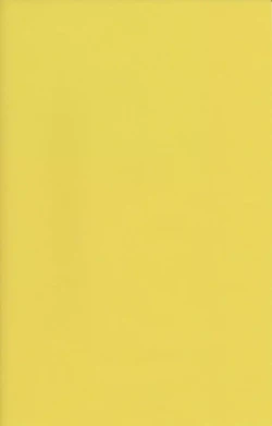 Page 2 of Chie Tomoe