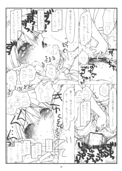 Page 27 of Kara no Naka no Kotori ja naku Orino Naka no Shineko