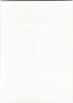 Page 2 of Party Bullets