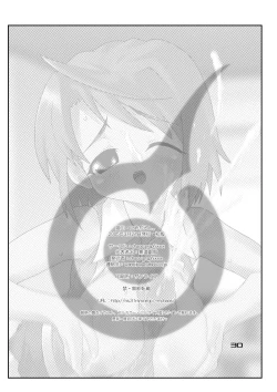 Page 29 of Hime Dirushi.