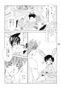 Page 56 of Usazukintan. Matome