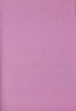 Page 3 of Ingi no Hate 1