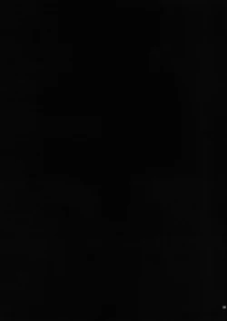 Page 22 of Kirigami Shima