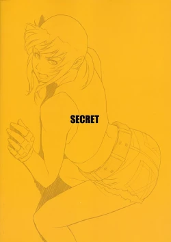 Page 37 of SECRET