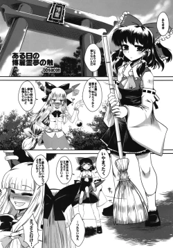 Page 4 of Touhou Gensoushoku
