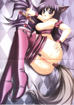 Page 2 of Moe Chara Zensho Ane Mix