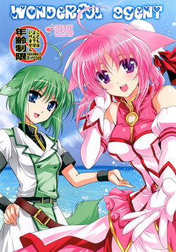 Download Wonderful Agent