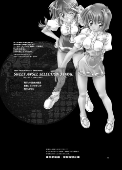 Page 41 of SWEET ANGEL SELECTION 3DL