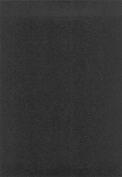 Page 313 of Sayuki no Sato