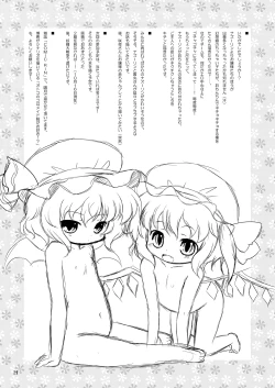 Page 28 of Watashi no Nazrin 3