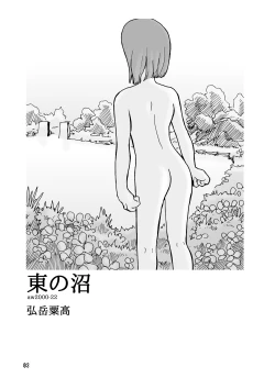 Page 2 of 東の沼 DLver