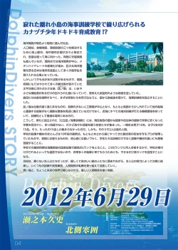 Page 4 of Dolphin Divers  Preview Visual Fanbook