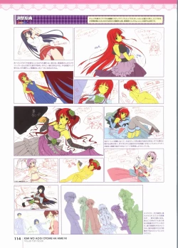 Page 119 of Kimi wo Aogi Otome wa Hime ni Visual Fan Book