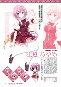 Page 12 of Kimi wo Aogi Otome wa Hime ni Visual Fan Book