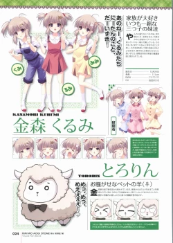 Page 24 of Kimi wo Aogi Otome wa Hime ni Visual Fan Book