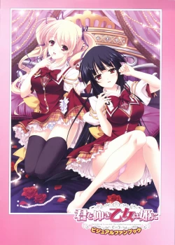 Page 3 of Kimi wo Aogi Otome wa Hime ni Visual Fan Book