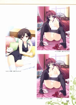 Page 82 of Kimi wo Aogi Otome wa Hime ni Visual Fan Book