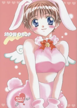 Page 1 of SNOW DROP
