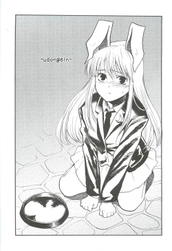 Page 4 of (Reitaisai 9) [Shironegiya (miya9)] -udongein- (Touhou Project)