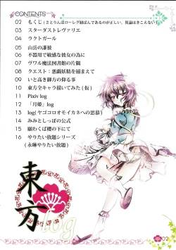Page 2 of Touhou log