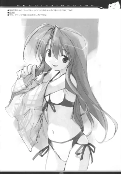 Page 15 of NECO/33/MEGANE