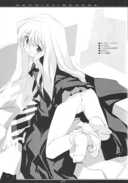 Page 16 of NECO/33/MEGANE