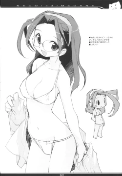 Page 21 of NECO/33/MEGANE