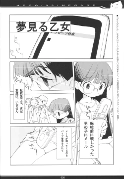 Page 25 of NECO/33/MEGANE