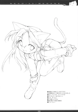 Page 27 of NECO/33/MEGANE