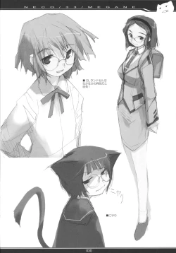 Page 29 of NECO/33/MEGANE