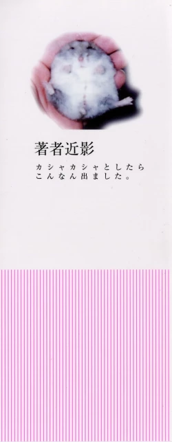 Page 3 of Kamukamu Hibarisou