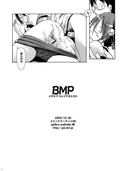 Page 24 of BMP