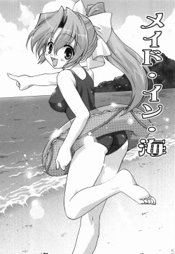 Page 29 of Maid ni Negai o - The Wish to the Housemaid