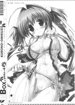 Page 15 of BBox-peke x 4