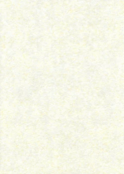 Page 2 of Ali Pro Sono 1