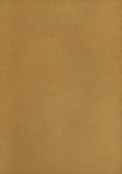 Page 3 of PARTYCARONADE