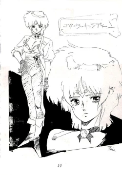 Page 31 of Aran-Rei MakyouGaiden レディウス　外伝