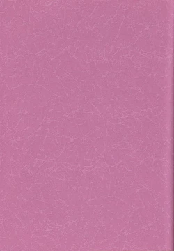 Page 2 of Wakasama Samurai NAN Demo-R