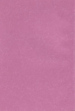 Page 3 of Wakasama Samurai NAN Demo-R