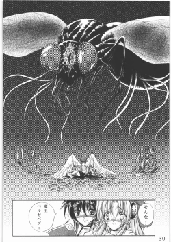 Page 29 of Sacred Order Seraphim Force