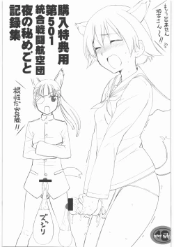 Page 1 of Kounyuu Tokutenyou Dai 501 Tougou Sentou Koukuudan Yoru no Himegoto Kirokushuu