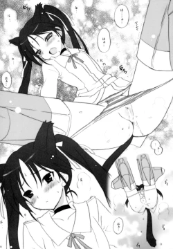 Page 16 of CONQUISTA CIELA